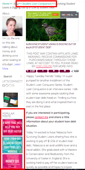 Thrive Themes smart widget | blogging