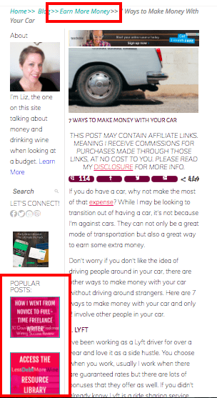 Thrive Themes smart widget | blogging