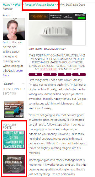 Thrive Themes smart widget | blogging